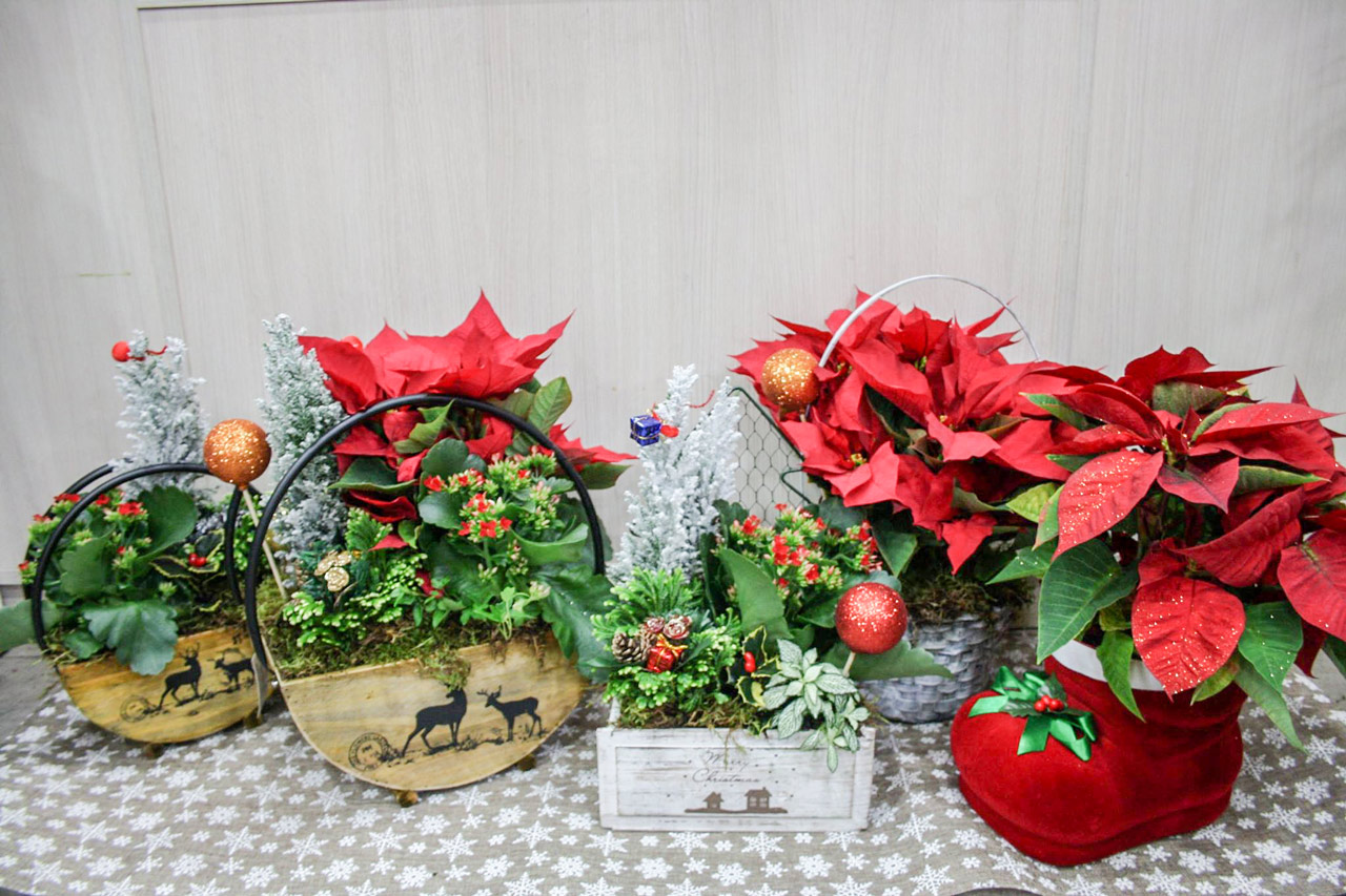 Cestas y Composiciones Navideñas · Floristería Los Santos Niños · Alcalá de Henares · Madrid