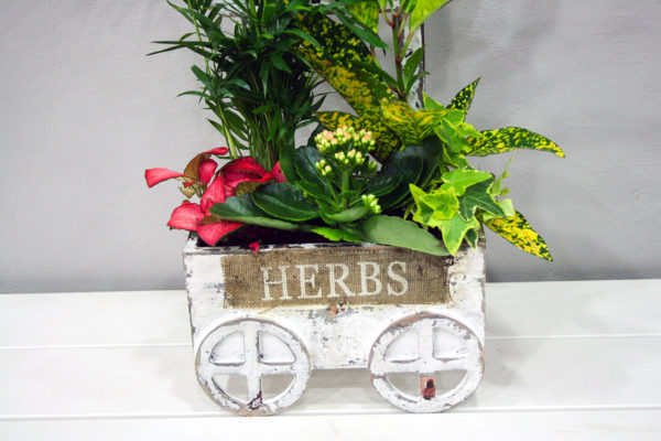 Carrito · Cestas y Composiciones · Floristería Los Santos Niños · Alcalá de Henares · Madrid