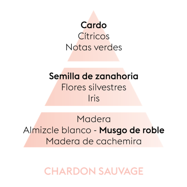 Recarga Lámpara Chardon Sauvage 500ml